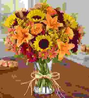 For Fall For Fall