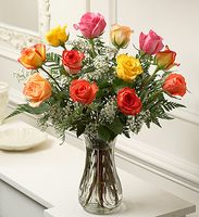 One Dozen Long Stem Multicolored Roses