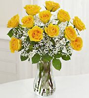 One Dozen Long Stem Yellow Roses