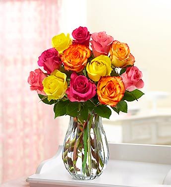 One Dozen Multicolored Roses 