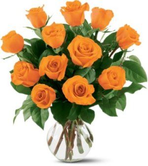 Orange Roses