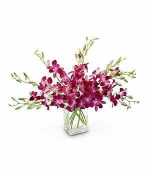 Orchids bouquet