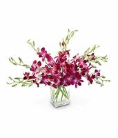 Orchids bouquet
