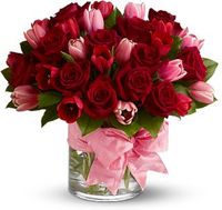 Tulips and Rose