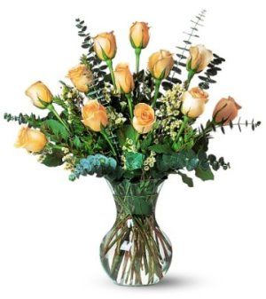 Pale Peach Roses