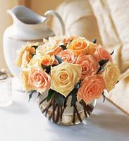Pastel Roses