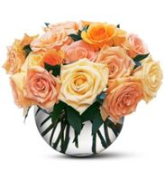 Pastel Roses Pastel Roses