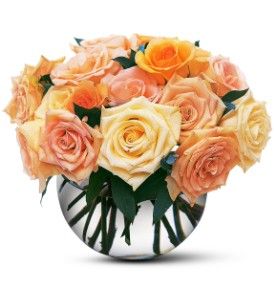 Pastel Roses 