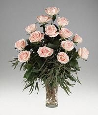 peach Roses