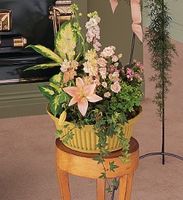 Peach Tribute Garden 