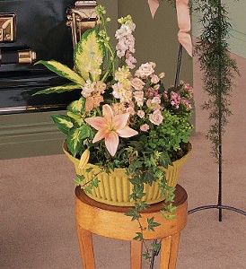 Peach Tribute Garden 