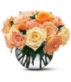 Perfect Pastel Roses