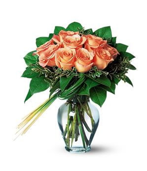 Perfectly Pink/Peach Roses