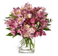 Persuasion Bouquet