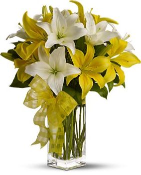 Pick-a-Lily