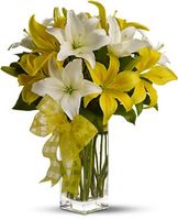 Pick-a-Lily
