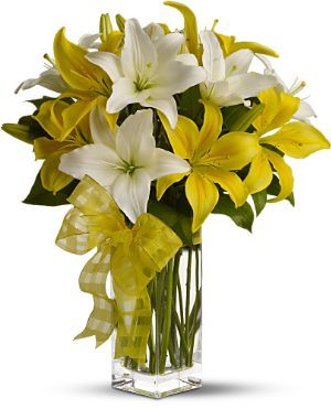 Pick-a-Lily