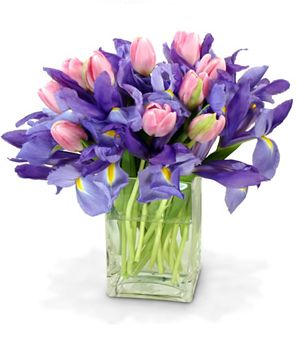 Pink and Blue Surprise 