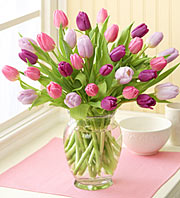 Pink and Purple Tulip Bouquet