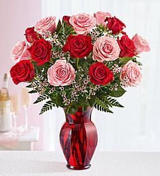 Pink and Red Rose