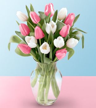 Pink and White Blushing Tulip Bouquet 