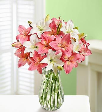 Pink and White Lilies