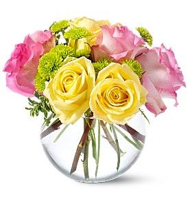 Pink Lemonade Roses 