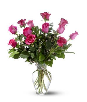 Pink Rose