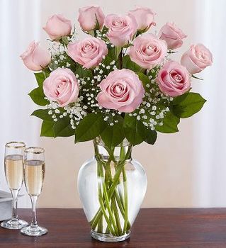 Pink Roses 