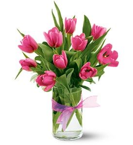 Pink Tulips