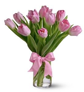Pink Tulips
