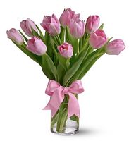 Pink Tulips Pink Tulips