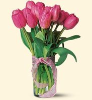 Pink Tulips 20 stems