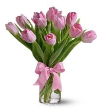 Pink Tulips Flowers