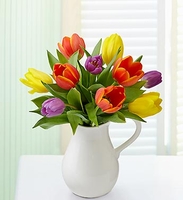 Pitcher Full of Tulips 