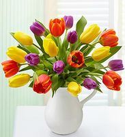 Pitcher Full of Tulips 