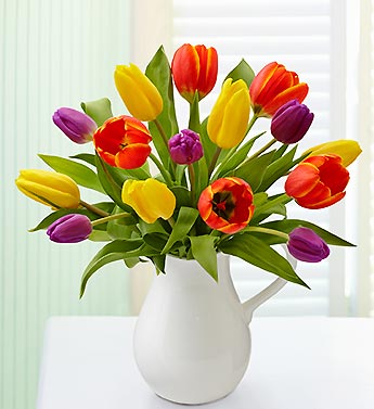 Pitcher Full of Tulips