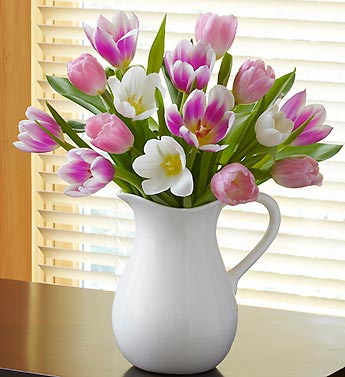Pitcher Full of Tulips 