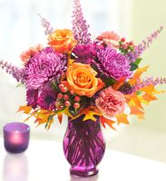 Plum Crazy for Fall 