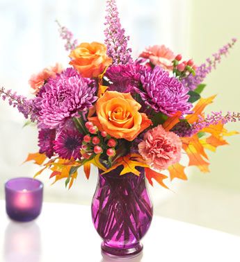 Plum Crazy for Fall 