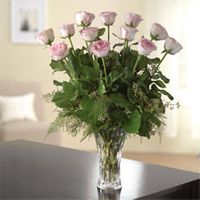 Precious Pink Dozen Roses - Vase variety Precious Pink Dozen Roses - Vase variety