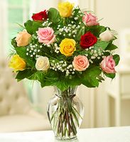 Spring Assorted Roses Spring Assorted Roses