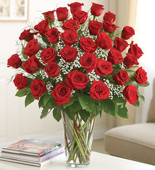  Premium Long Stem Red Roses  dozen