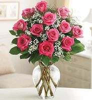 Premium Long Stem Roses Premium Long Stem Roses