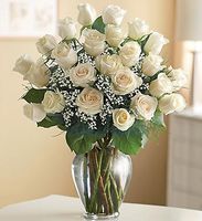  Premium Long Stem White Roses