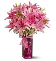 Pretty Pink Lilies
