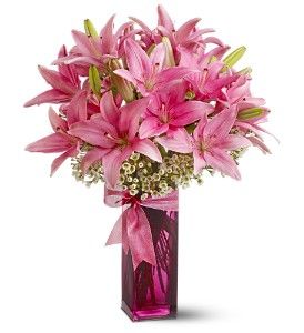 Pretty Pink Lilies
