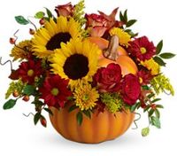 Pretty Pumpkin Bouquet 