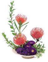 Protea Paradise Protea Paradise