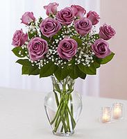Purple rose